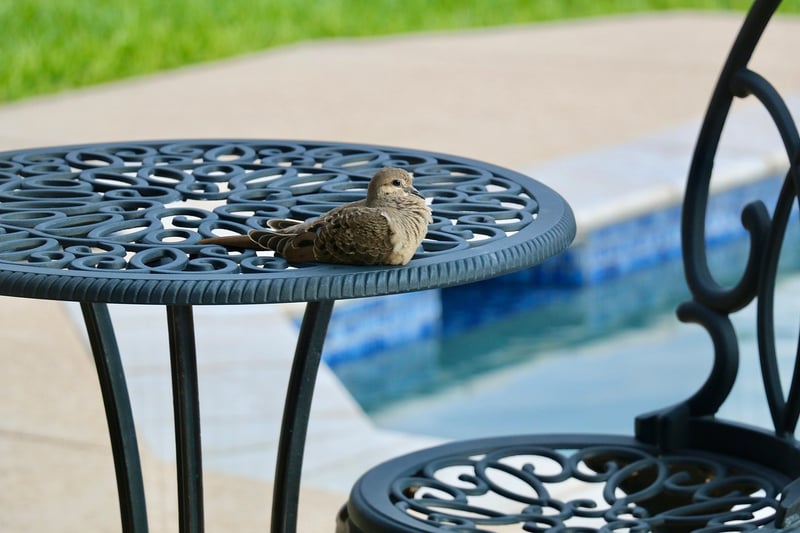 Outdoor seating area