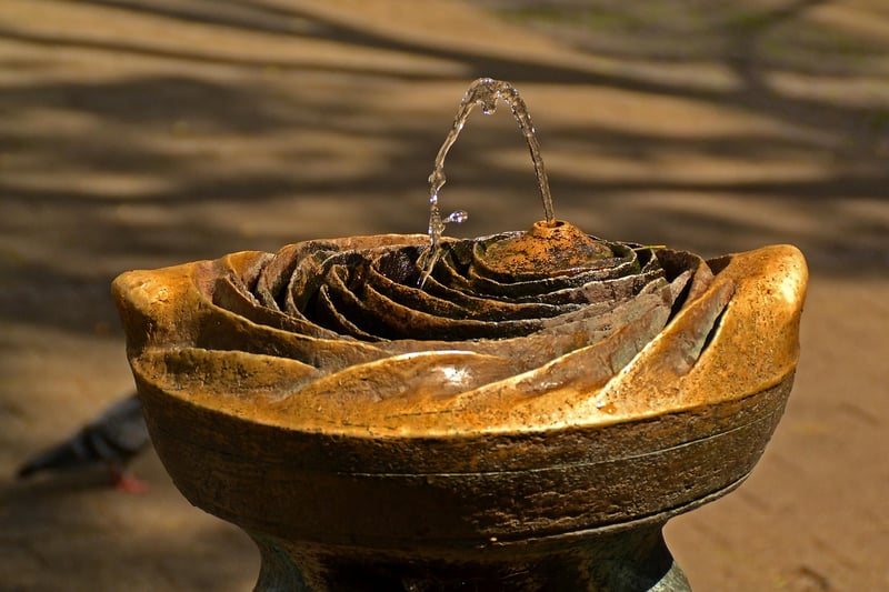 tranquil water feature